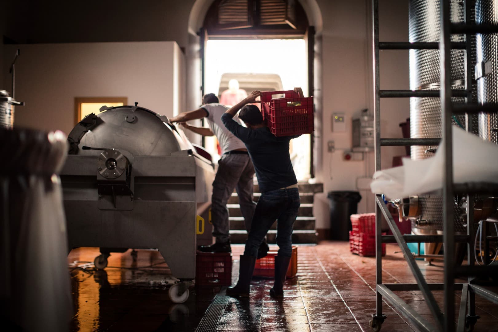 Национальная виза D в Италию для работы по найму: условия, оформление и правила трудоустройства 2025 Национальная виза D в Италию для работы по найму: условия, оформление и правила трудоустройства 2025